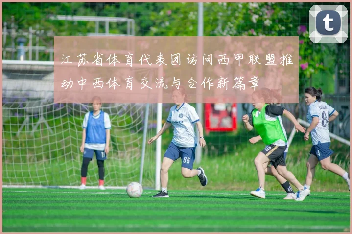 江苏省体育代表团访问西甲联盟推动中西体育交流与合作新篇章
