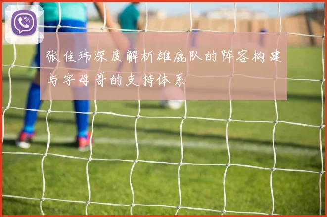张佳玮深度解析雄鹿队的阵容构建与字母哥的支持体系