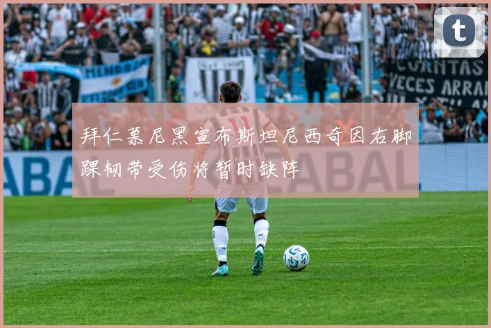 拜仁慕尼黑宣布斯坦尼西奇因右脚踝韧带受伤将暂时缺阵