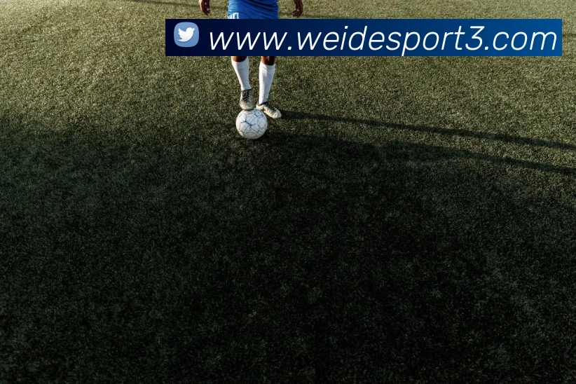 伟德体育APP 封面图