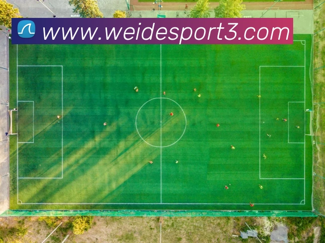 数据防护可视化